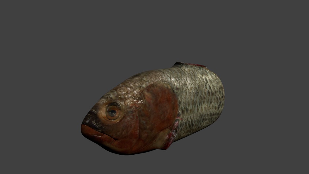 Rotten fish preview image 1
